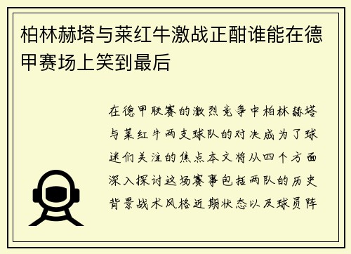 柏林赫塔与莱红牛激战正酣谁能在德甲赛场上笑到最后