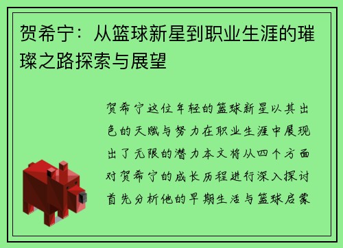 贺希宁：从篮球新星到职业生涯的璀璨之路探索与展望